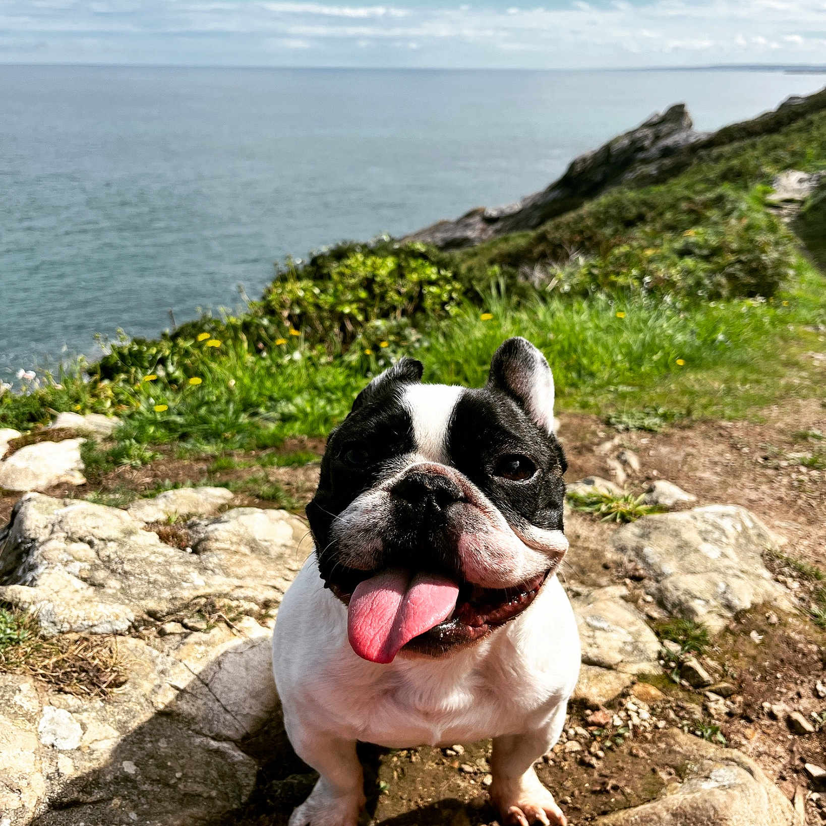 Oscar