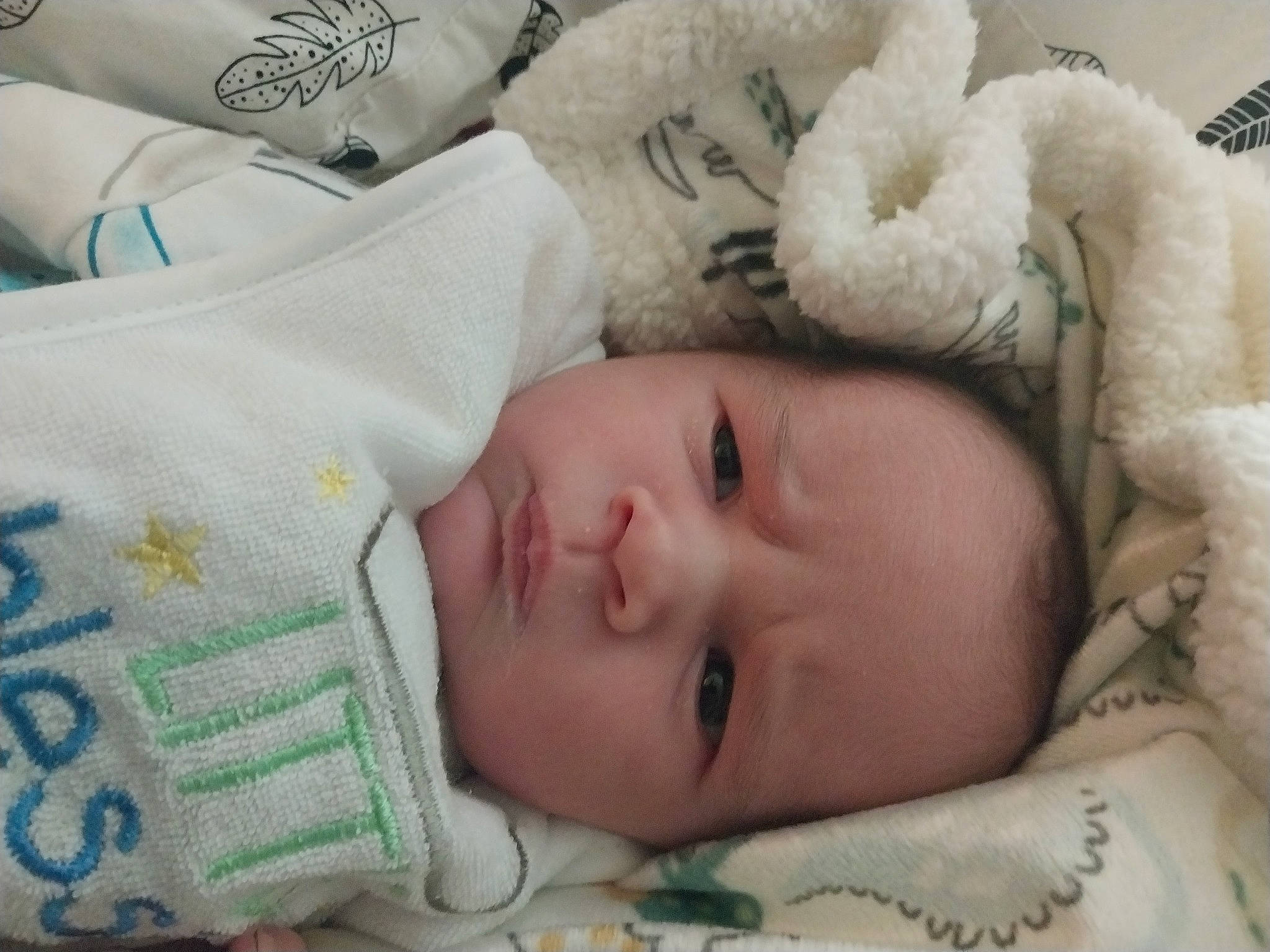 Deegan joined the competition — help win amazing prizes! baby, baby_products, baby_sleeping, baby_toddler_clothing, bedtime, cheek, child, comfort, eyelash, fur, linens, nap, nose, pattern, person, room, skin, sleep, textile, toddler