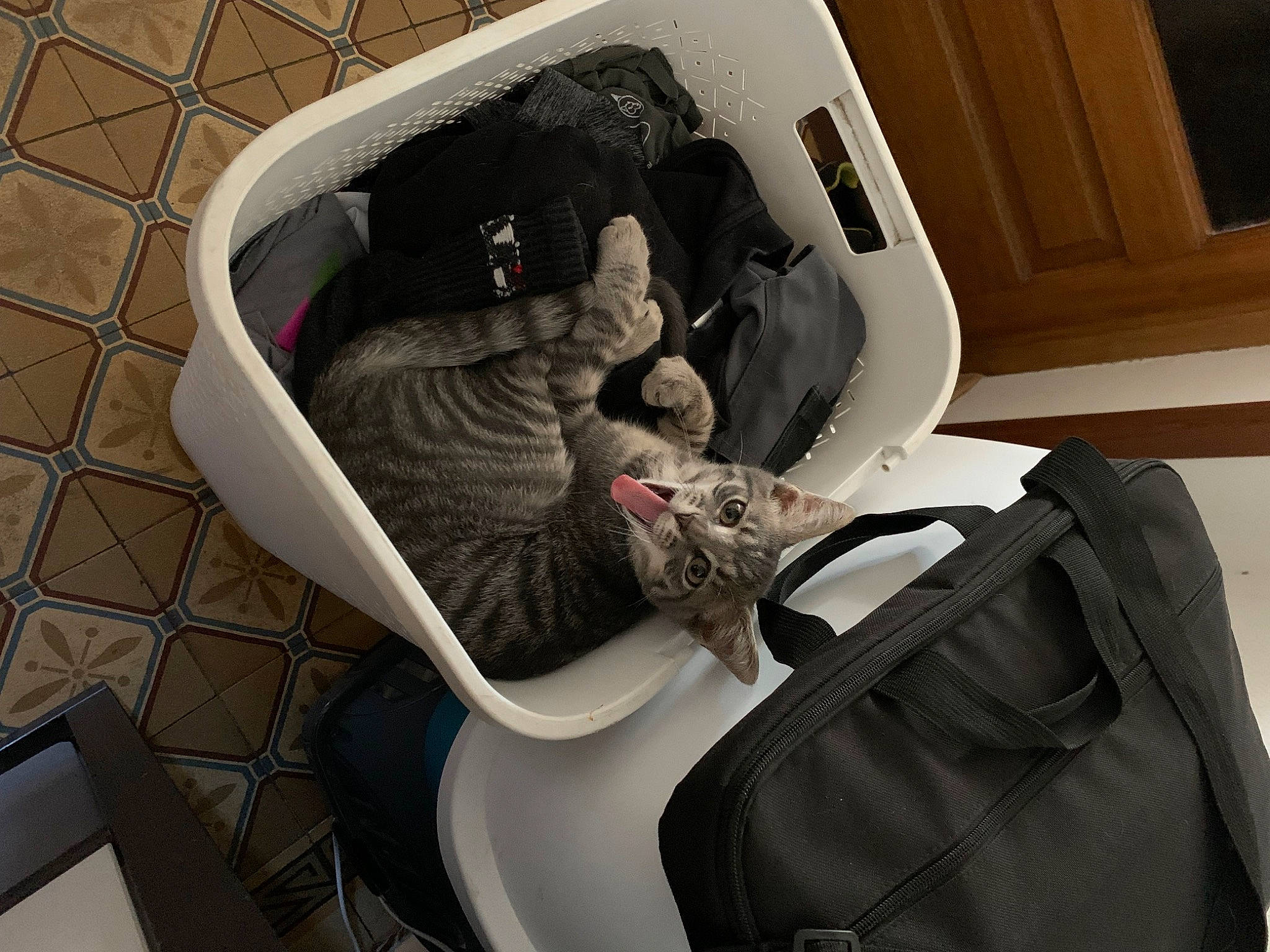 Berlioz participe au concours pour gagner de l'argent avec cette photo : aircraft, armrest, auto_part, automotive_design, automotive_exterior, bag, baggage, car_seat, comfort, family_car, head_restraint, luggage_and_bags, luxury_vehicle, motor_vehicle, passenger, personal_luxury_car, travel, trunk, vehicle, vehicle_door