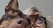 Scarlette participe au concours pour gagner de l'argent avec cette photo : dog, person, glasses, indoor, ceiling, blond_hair, face, close_up, looking_up, pet, animal, curious, casual, expression, portrait, head, brown_dog, white_background, human, companion
