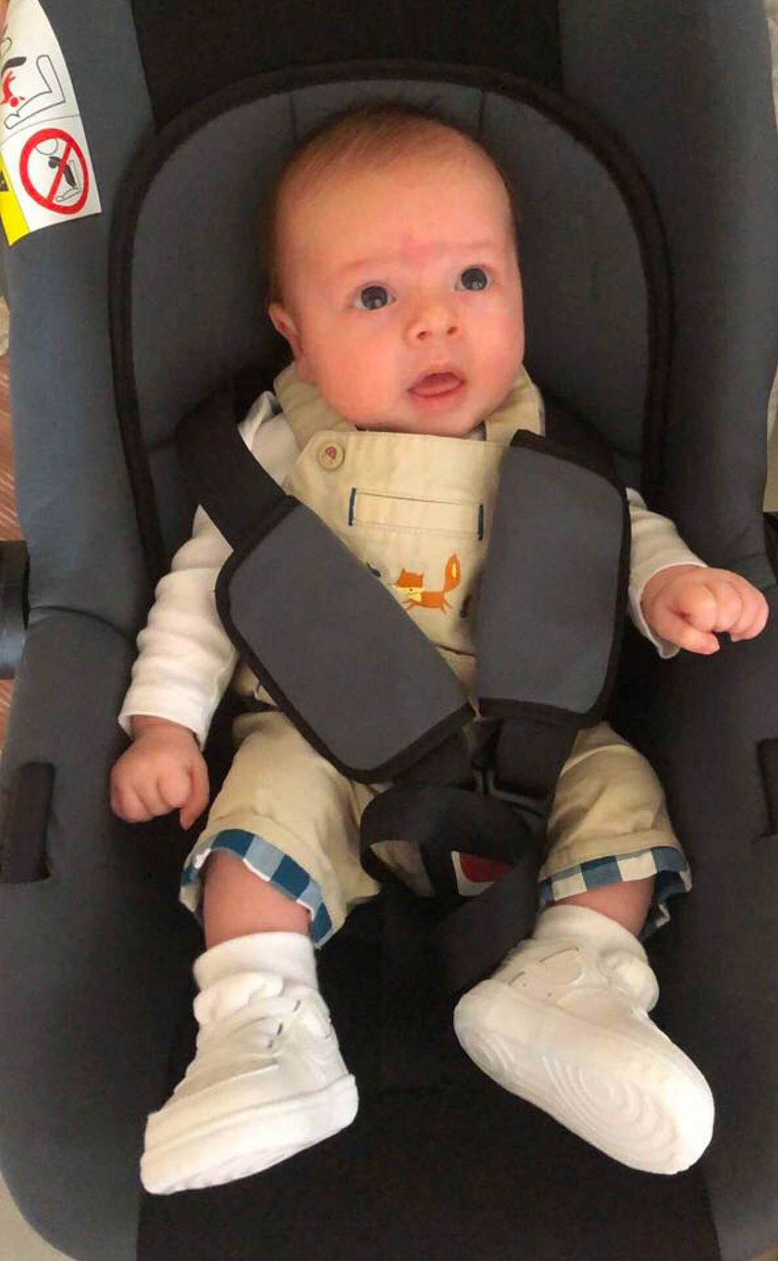 Julyan participe au concours pour gagner de l'argent avec cette photo : baby, baby_carriage, baby_in_car_seat, baby_toddler_clothing, car_seat, chair, cheek, child, comfort, finger, knee, leg, person, personal_protective_equipment, product, seat_belt, skin, sleeve, surprise, thumb