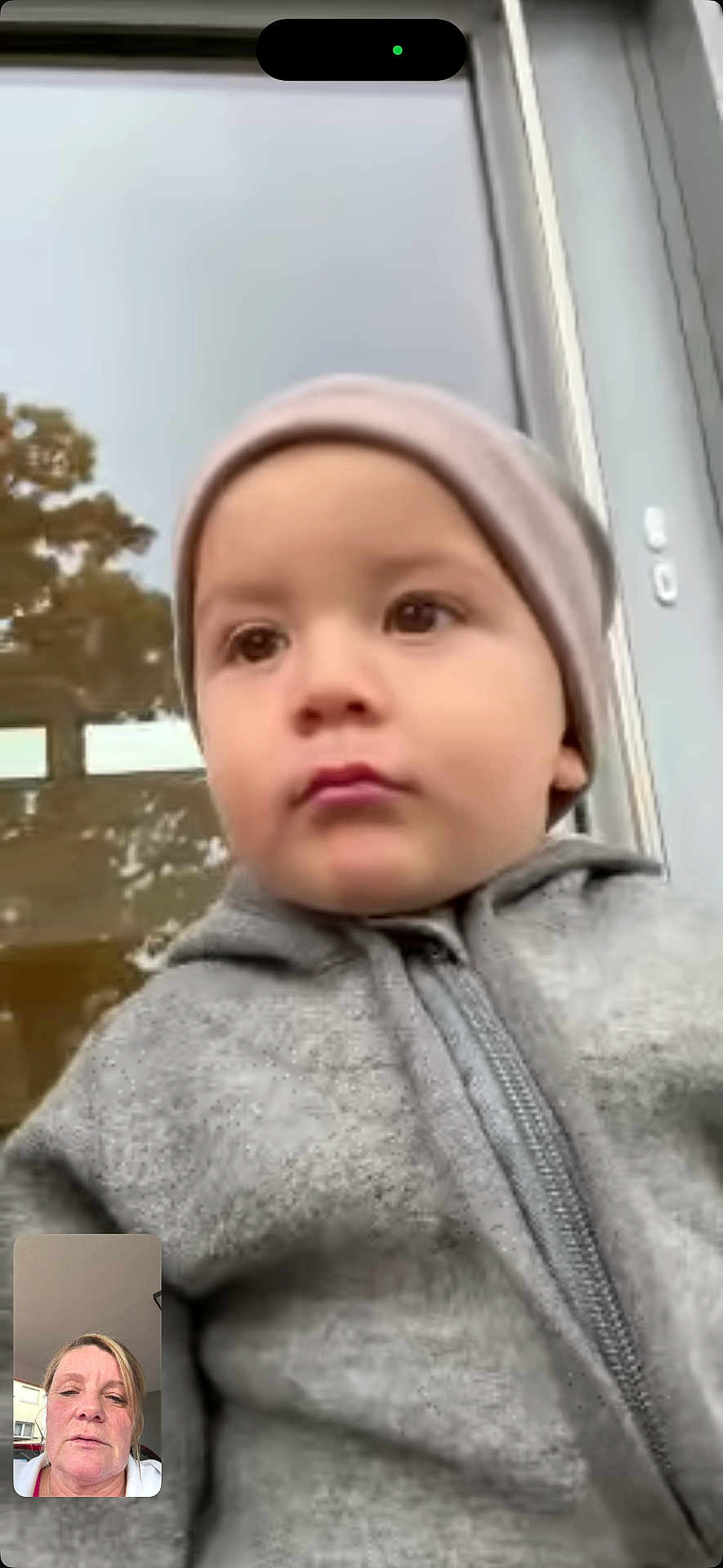 Carlo joined the competition — help win amazing prizes! toddler, child, face, hoodie, beanie, window, reflection, tree, outdoor, portrait, person, video_call, technology, casual_clothing, expression, young_child, close_up, communication, indoor, adult