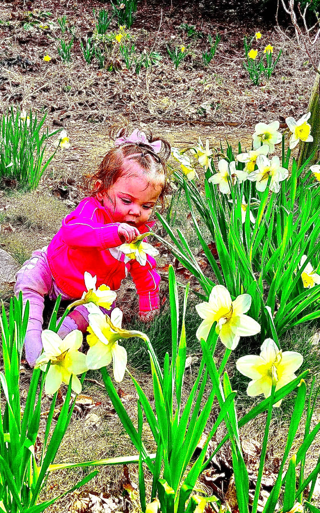 Jazlyn joined the competition — help win amazing prizes! annual_plant, botany, eye, flower, flowering_plant, grass, grass_family, green, groundcover, human_body, iris, landscape, leaf, meadow, natural_landscape, people_in_nature, person, petal, plant, terrestrial_plant