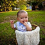 baby, basket, bow_tie, boy, chewing, child, clothing, cute, face, grass, greenery, hand, happy, infant, nature, outdoor, portrait, smile, sunlight, suspenders