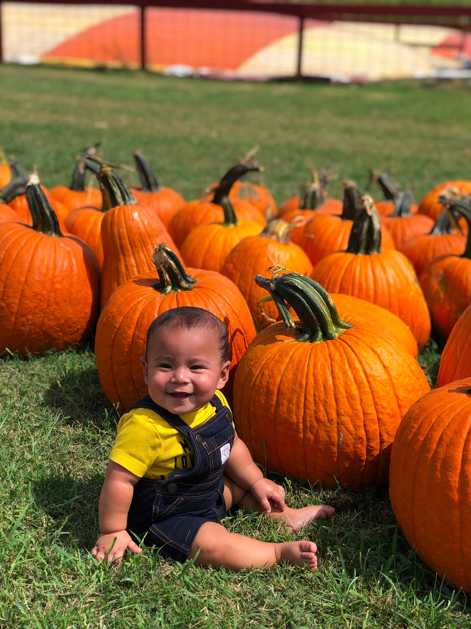 Javier is registered to the contest to win money with this photo: _and_melon_family, _gourd, autumn, calabaza, child, cucumber, cucurbita, food, fruit, gourd, grass, joy, local_food, natural_foods, orange, person, plant, pumpkin, squash, toddler