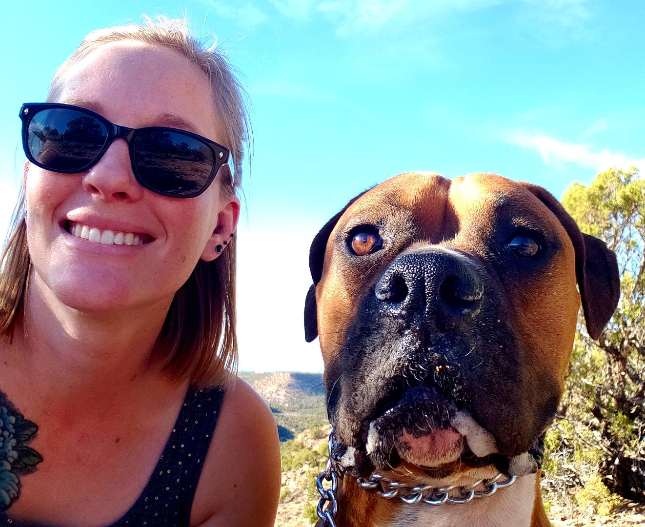 Bender is registered to the contest to win money with this photo: boerboel, boxer, bulldog, bullmastiff, canidae, carnivore, companion_dog, cool, dog, dog_breed, english_mastiff, eyewear, fawn, fun, mammal, selfie, sky, summer, sunglasses, vacation