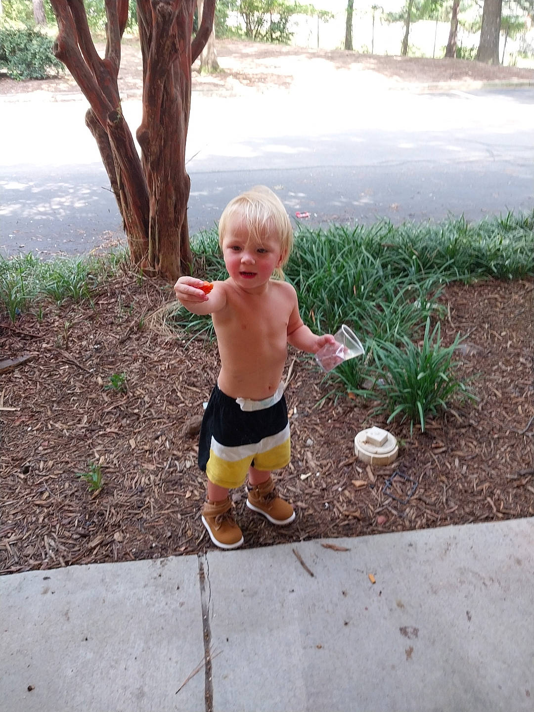 Legend joined the competition — help win amazing prizes! asphalt, baby, fun, grass, human_leg, knee, leaf, leisure, people_in_nature, person, plant, recreation, shorts, sidewalk, sitting, soil, t_shirt, thigh, thumb, toddler