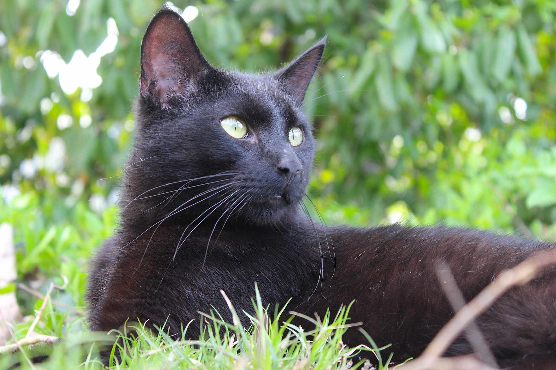 Salem