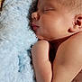 baby, sleeping, infant, close_up, skin, blanket, soft_texture, peaceful, face, arm, ear, newborn, resting, cute, child, portrait, natural_light, indoors, tender, calm