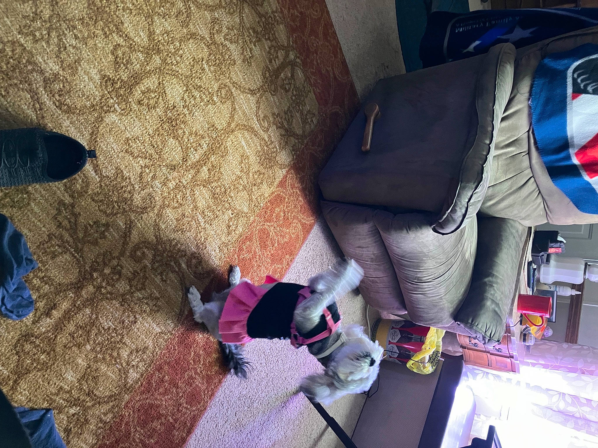 Kimora Lee Oszman joined the competition — help win amazing prizes! auto_part, boot, car_seat, car_seat_cover, carmine, child, comfort, electric_blue, family_car, floor, flooring, fun, human_leg, leisure, luxury_vehicle, textile, thigh, tree, trunk, vehicle_door