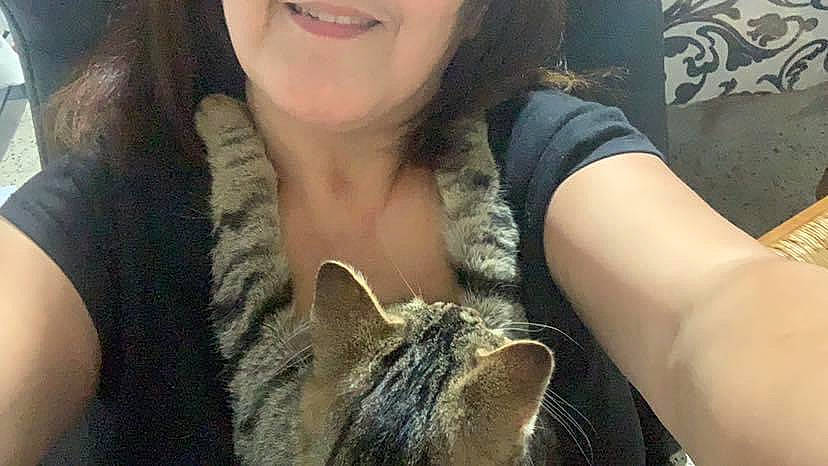 Yuchi a rejoint le concours — aidez-le/la à gagner de superbes lots ! carnivore, cat, chest, domestic_short_haired_cat, ear, eyelash, eyewear, fawn, felidae, fur, gesture, happy, jaw, nail, selfie, skin, small_to_medium_sized_cats, snout, t_shirt, whiskers