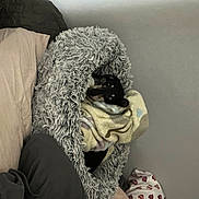 Malibu is registered to the contest to win money with this photo: art, beard, comfort, eyewear, facial_hair, fashion_design, feather, fur, grey, linens, monochrome, monochrome_photography, room, sitting, visual_arts, wing