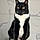 Tux