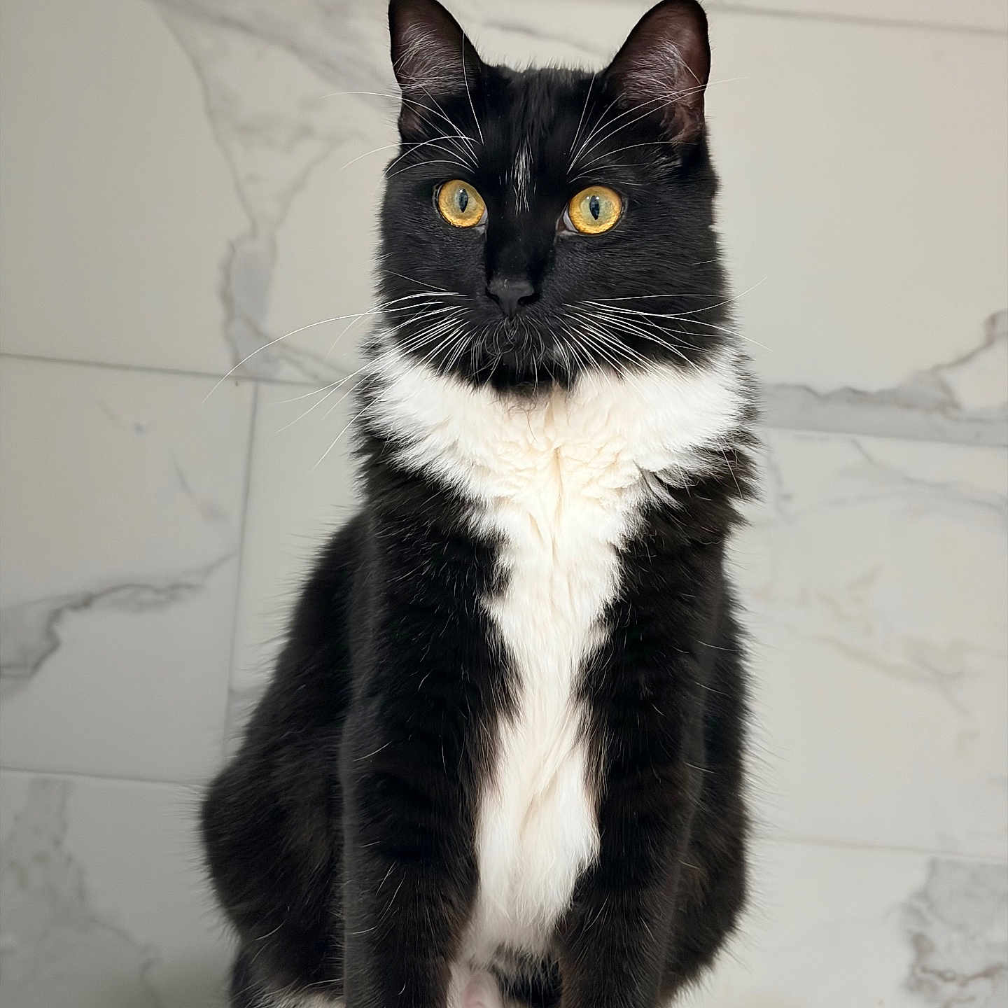 Tux