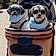 Pablo-Monty