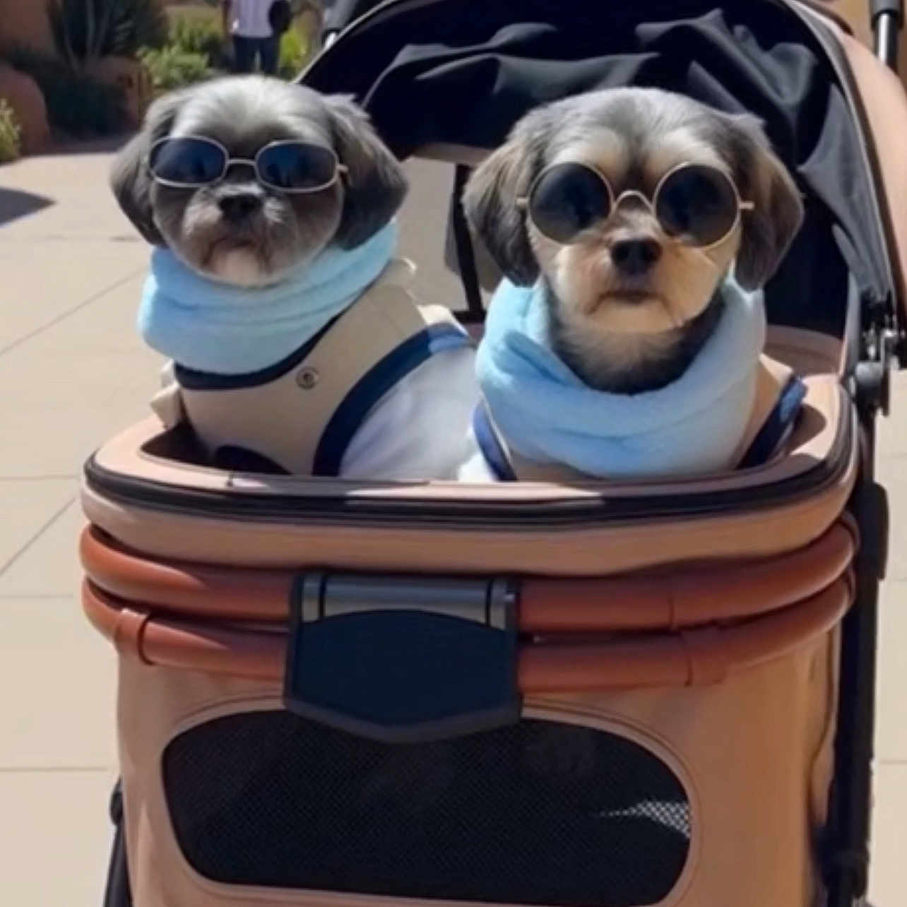 Pablo-Monty