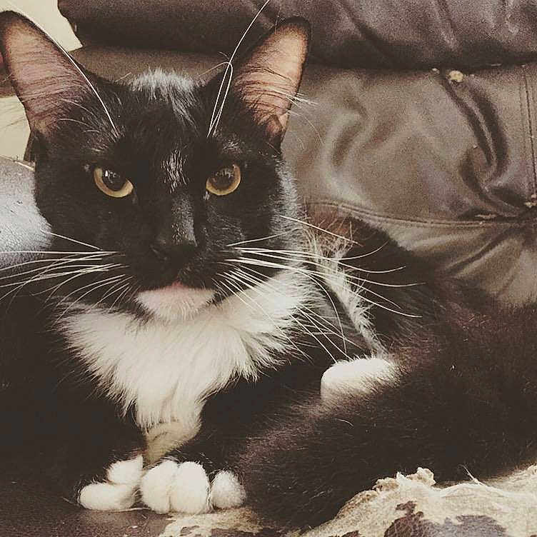 Binx