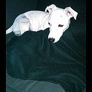 Heindix participe au concours pour gagner de l'argent avec cette photo :