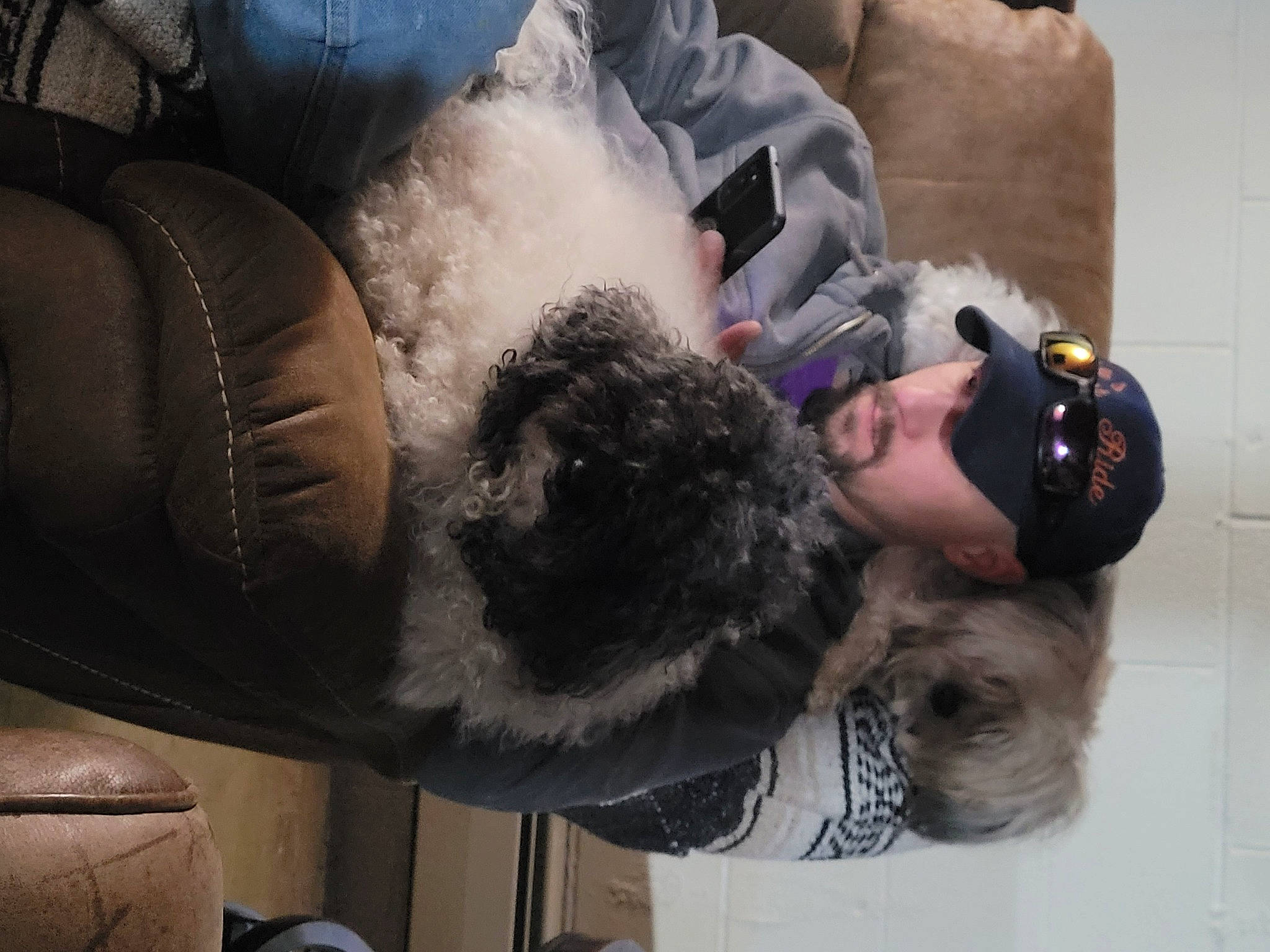 Loki is registered to the contest to win money with this photo: canidae, comfort, companion_dog, dog_breed, eyewear, fun, fur, fur_clothing, glasses, room, sporting_group, sunglasses