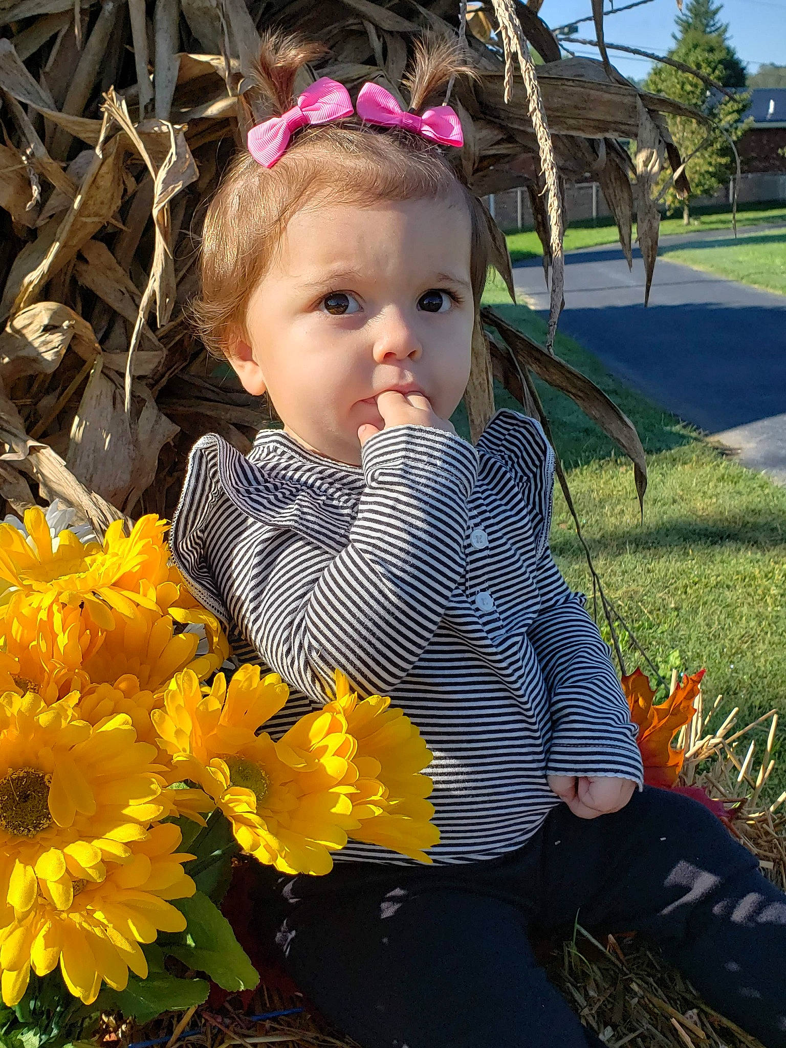 Emma Walter is registered to the contest to win money with this photo: child, flower, grass, hair_accessory, happy, iris, person, plant, smile, spring, toddler, wildflower, yellow
