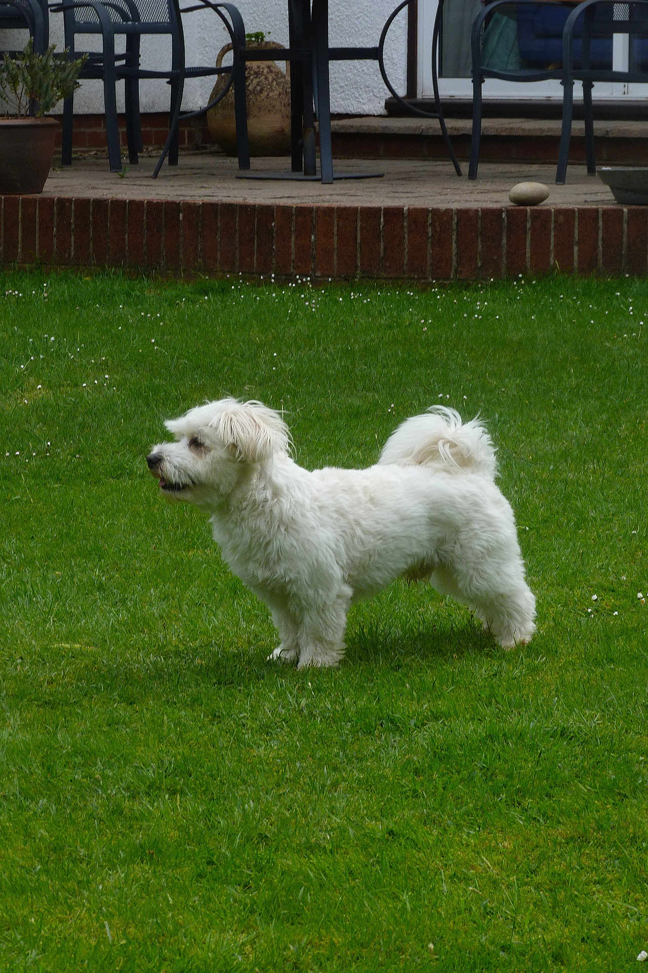 Stanley