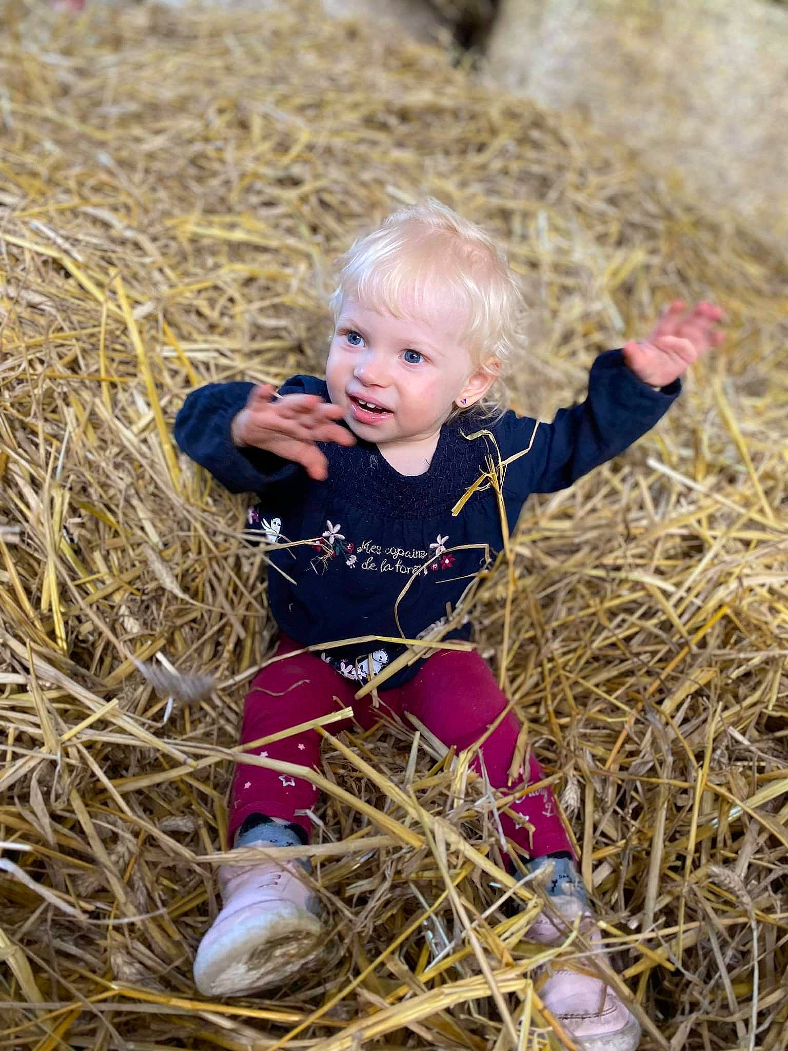 Kellya a rejoint le concours — aidez-le/la à gagner de superbes lots ! agriculture, baby, baby_toddler_clothing, blond, child, event, eye, face, field, fun, grass, grass_family, happy, people_in_nature, person, plant, prairie, sitting, soil, toddler