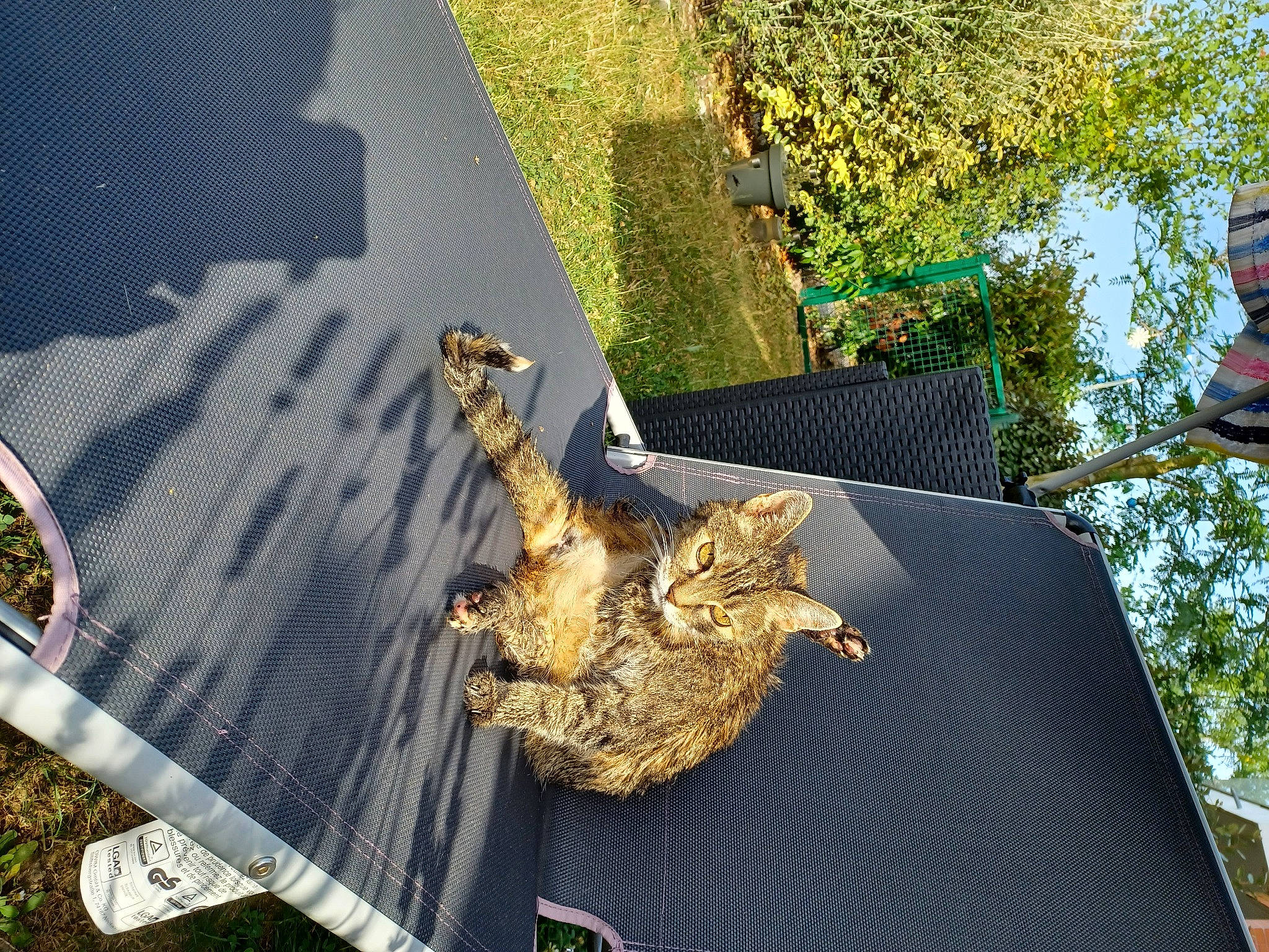 Sarah participe au concours pour gagner de l'argent avec cette photo : art, grass, landscape, leisure, natural_material, pattern, plant, road_surface, roof, shadow, soil, tree, trunk, urban_design, wood, world, yellow