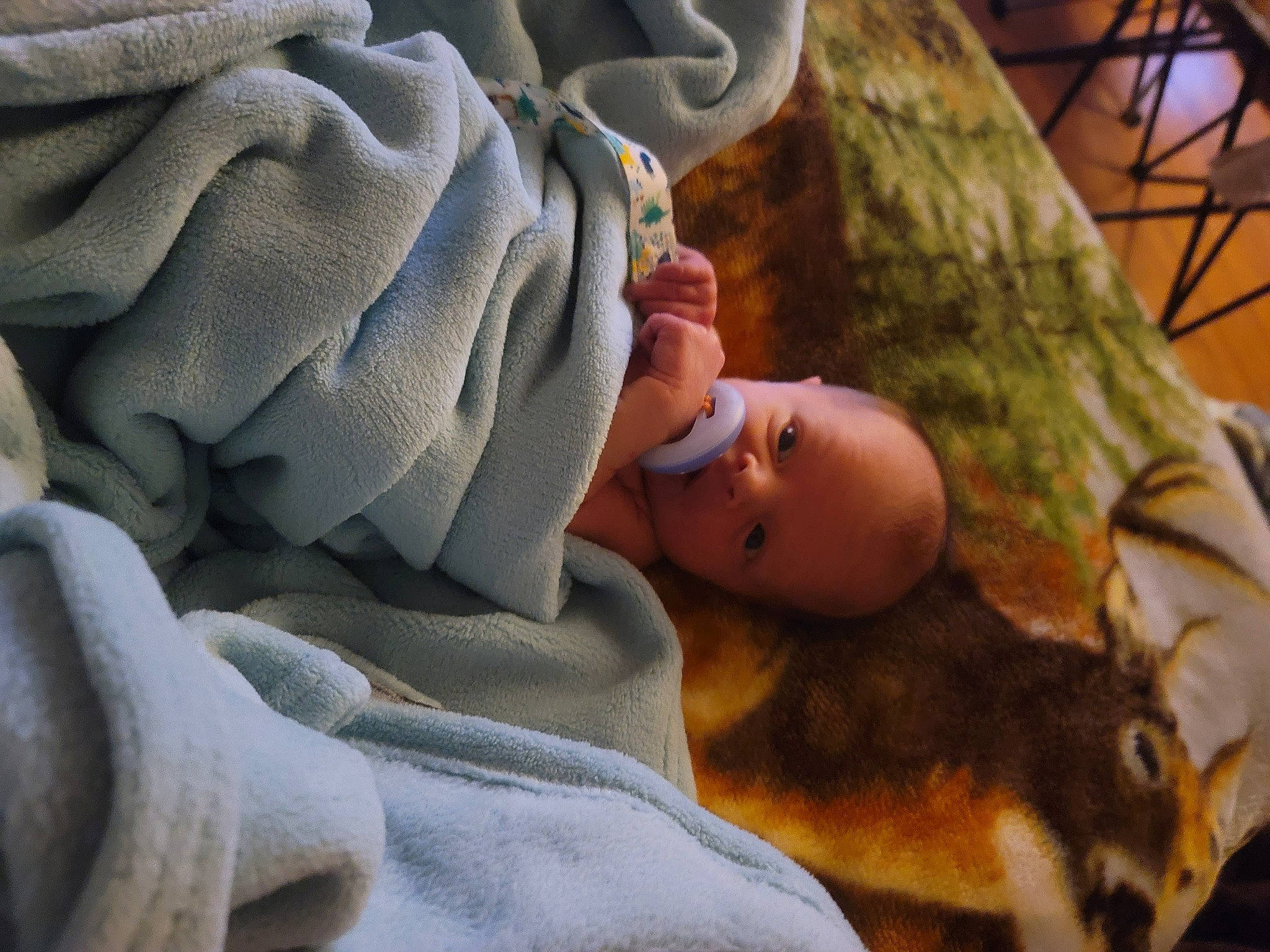Sawyer joined the competition — help win amazing prizes! baby, baby_products, beauty, child, comfort, eye, fawn, fur, grass, head, linens, nap, pattern, person, rock, sitting, skin, sleep, textile, toddler