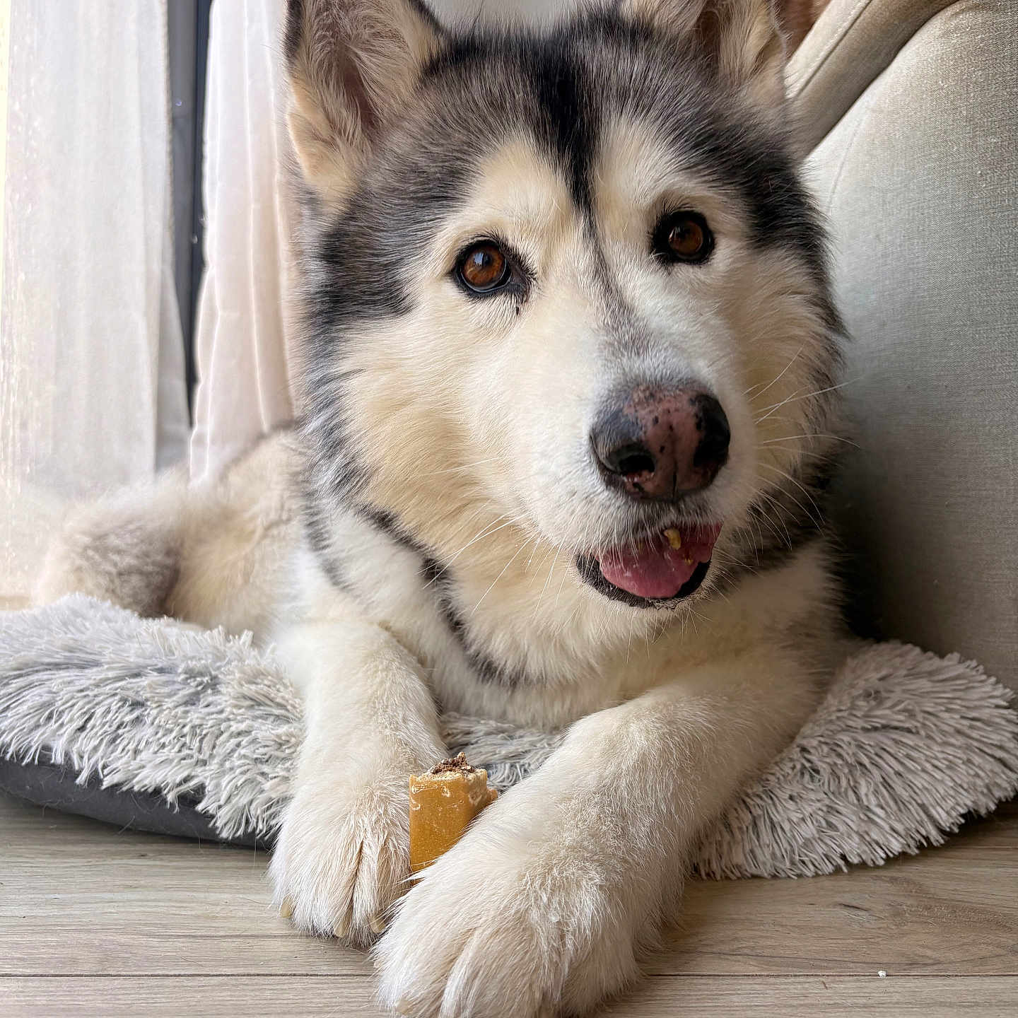 Naya