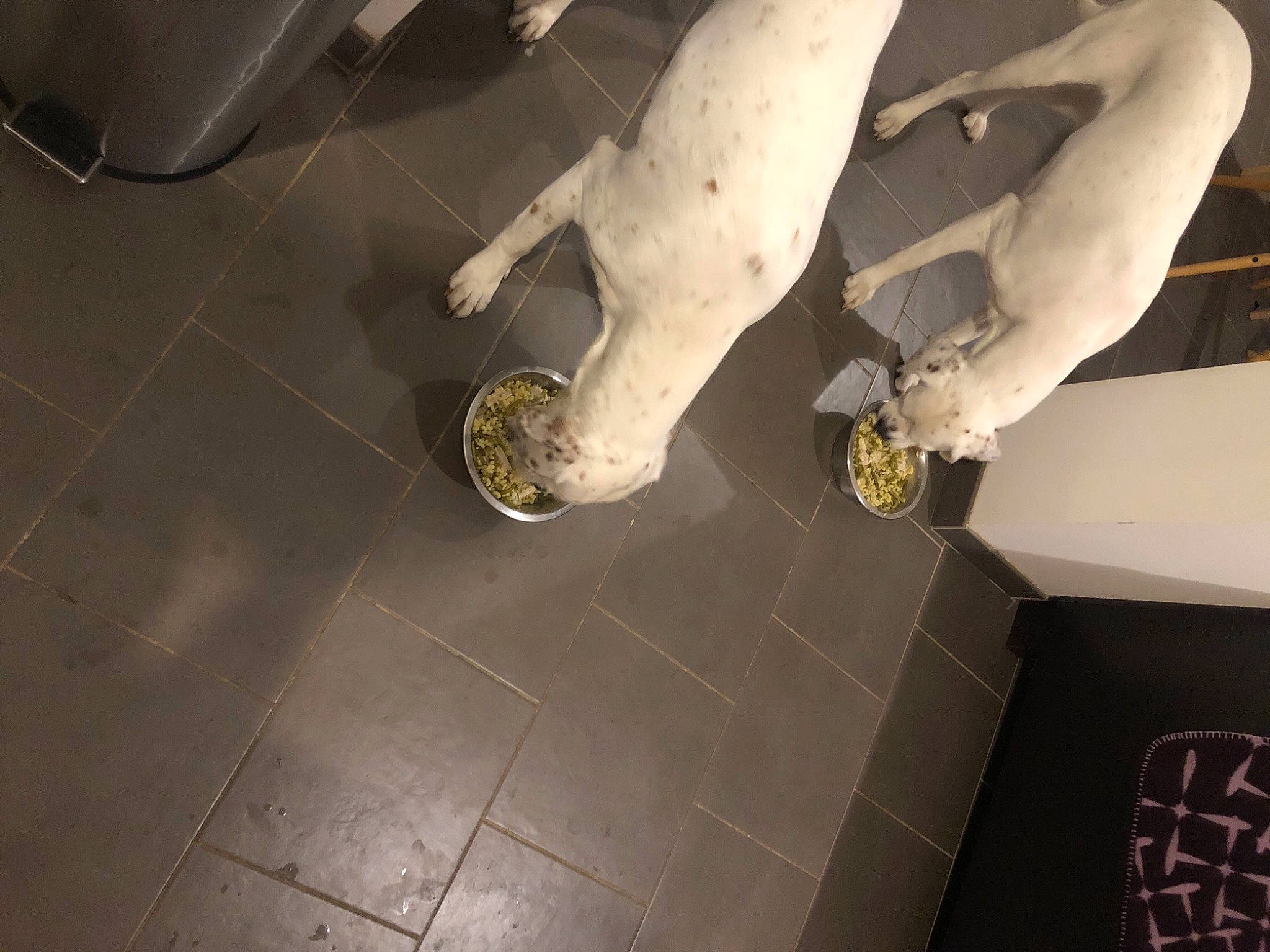 Oméga Et Olly a rejoint le concours — aidez-le/la à gagner de superbes lots ! art, ceiling, dress, floor, flooring, foot, human_body, human_leg, jeans, knee, leg, metal, recreation, room, sandal, shoe, sneakers, thigh, tile, tree