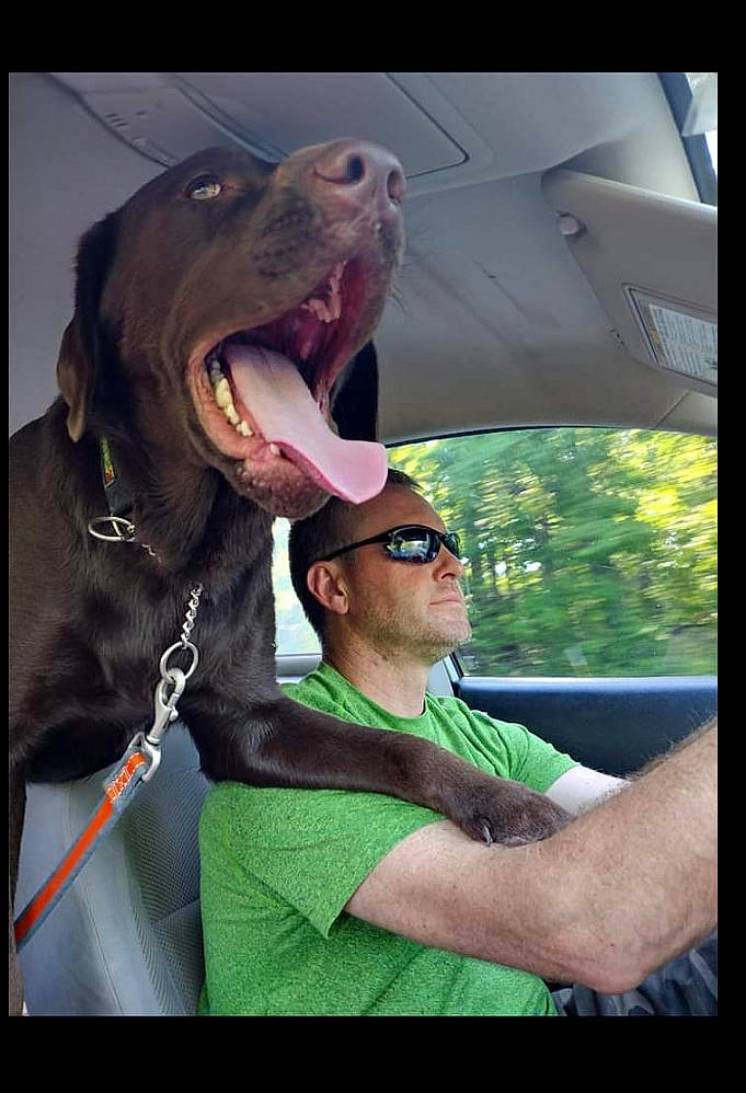 Ace is registered to the contest to win money with this photo: beard, carnivore, companion_dog, cool, dog, dog_breed, eyewear, flash_photography, fun, glasses, goggles, happy, recreation, shorts, smile, sporting_group, sunglasses, t_shirt, vision_care, working_animal