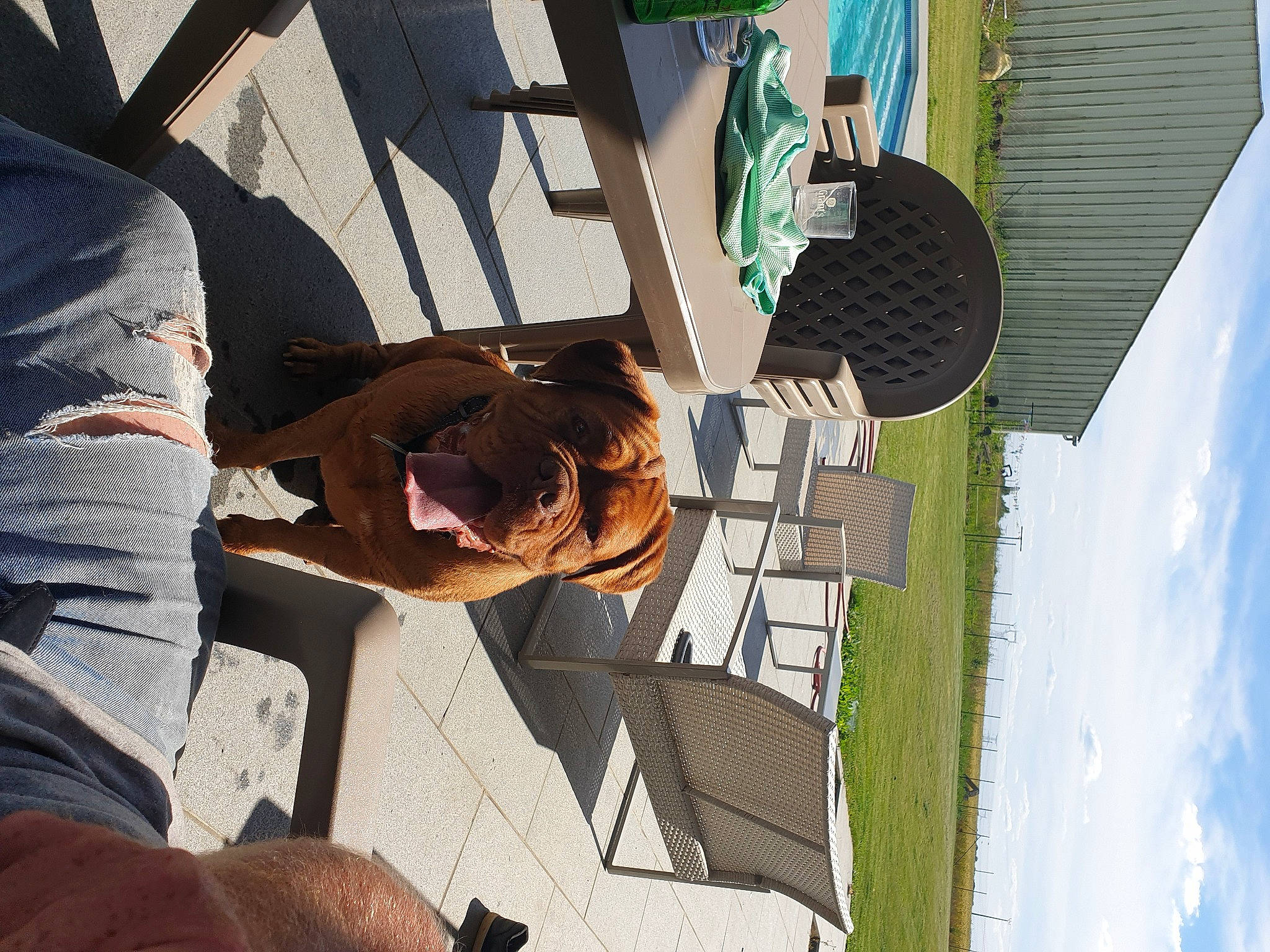 Jelsy a rejoint le concours — aidez-le/la à gagner de superbes lots ! building, cloud, daytime, eyewear, facade, fun, house, leisure, line, pattern, room, sky, sunglasses, symmetry, travel, urban_design, vacation, visual_arts, wood, world