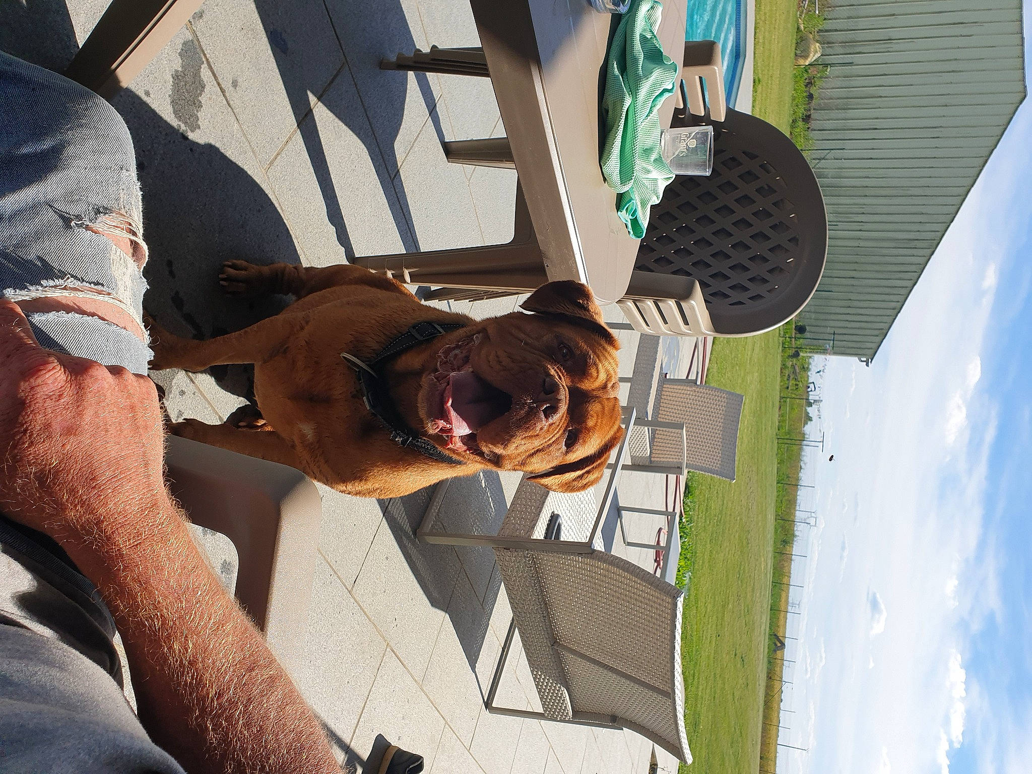 Jelsy participe au concours pour gagner de l'argent avec cette photo : cloud, elbow, eyewear, facade, fun, gesture, happy, human_leg, leisure, recreation, sky, sunglasses, thigh, tourism, travel, tree, vacation, wrist