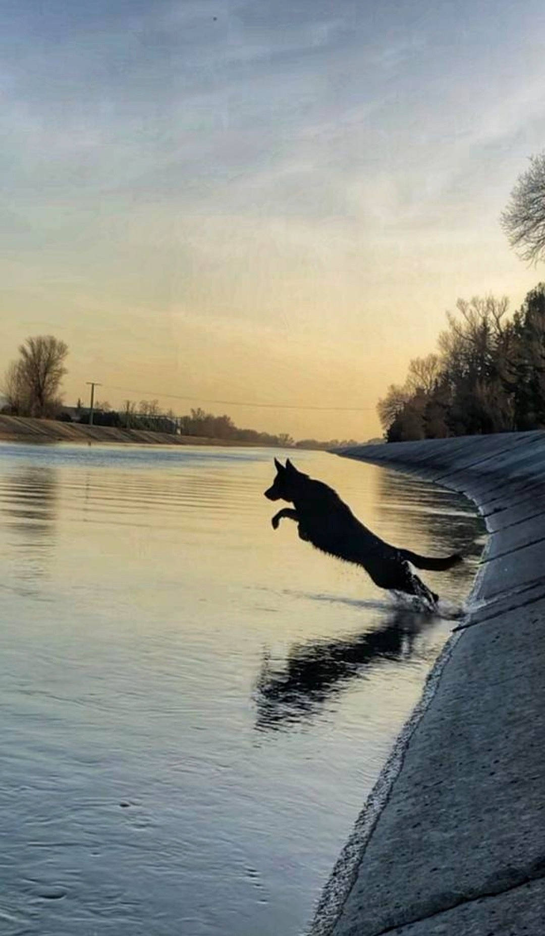 Latika participe au concours pour gagner de l'argent avec cette photo : bank, calm, cloud, dusk, freezing, happy, horizon, lake, landscape, natural_landscape, people_in_nature, sky, sunlight, sunrise, sunset, tints_and_shades, tree, water, water_resources, wood