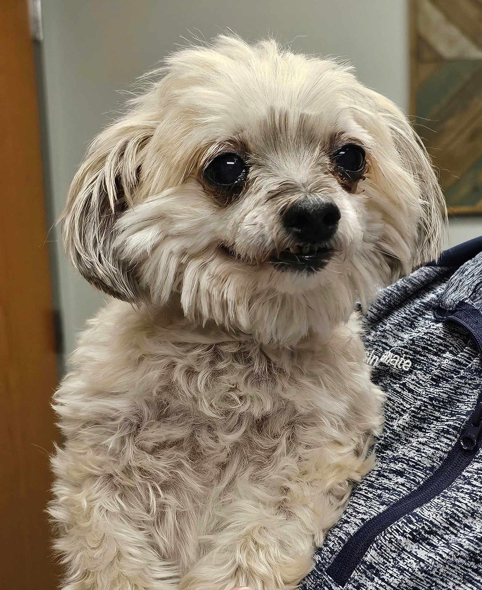 Maddie