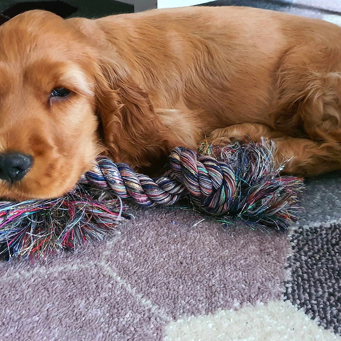 Max