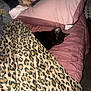 black_cat, cat, blanket, leopard_print, pink_pillow, bed, tattoo, human_arm, resting, indoor, pet, cozy, sleepy, animal, fur, comfort, domestic_cat, relaxation, face, lying_down