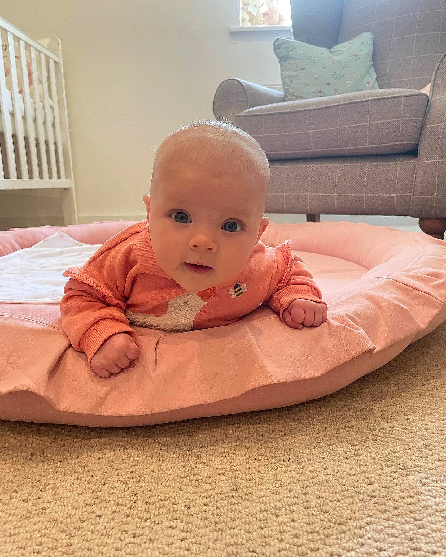 Darcey is registered to the contest to win money with this photo: baby, baby_products, baby_sleeping, baby_toddler_clothing, carmine, child, comfort, couch, floor, flooring, hardwood, linens, person, rectangle, room, sitting, sofa_bed, studio_couch, toddler, white