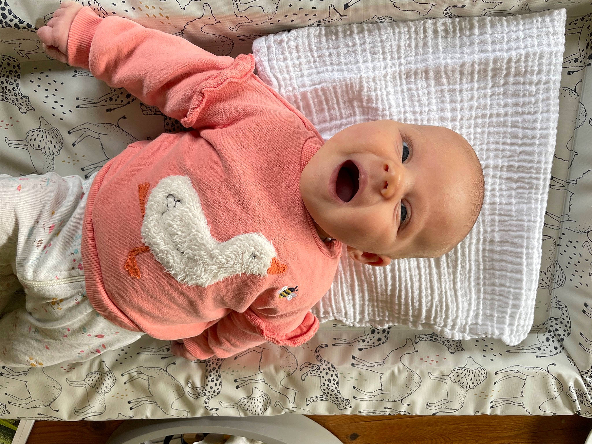 Darcey is registered to the contest to win money with this photo: baby, baby_products, baby_toddler_clothing, cheek, child, clothing, comfort, eye, happy, head, headgear, linens, mouth, nose, person, pink, skin, sleeve, smile, textile