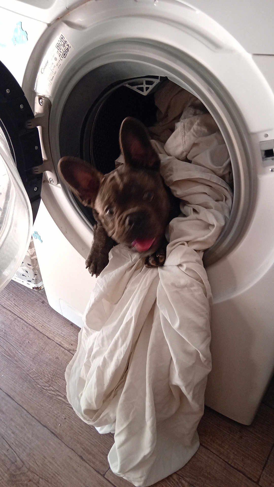 Marcel