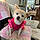 Lacey