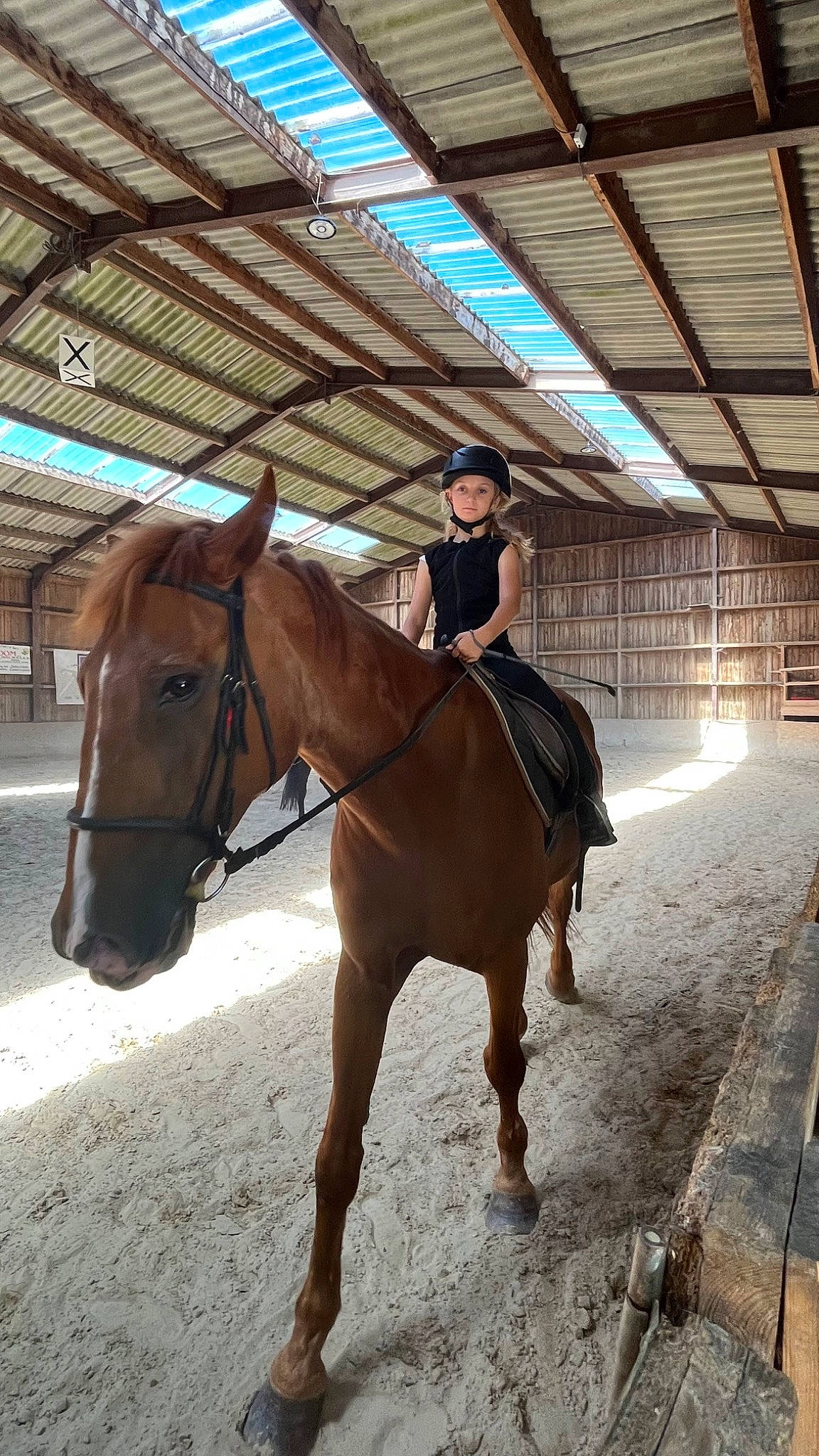 Keliyah a rejoint le concours — aidez-le/la à gagner de superbes lots ! animal_sports, bit, bridle, english_riding, equestrian_sport, equestrianism, equitation, event, headwear, horse, horse_supplies, horse_tack, liver, mammal, pack_animal, person, recreation, rein, saddle, vertebrate