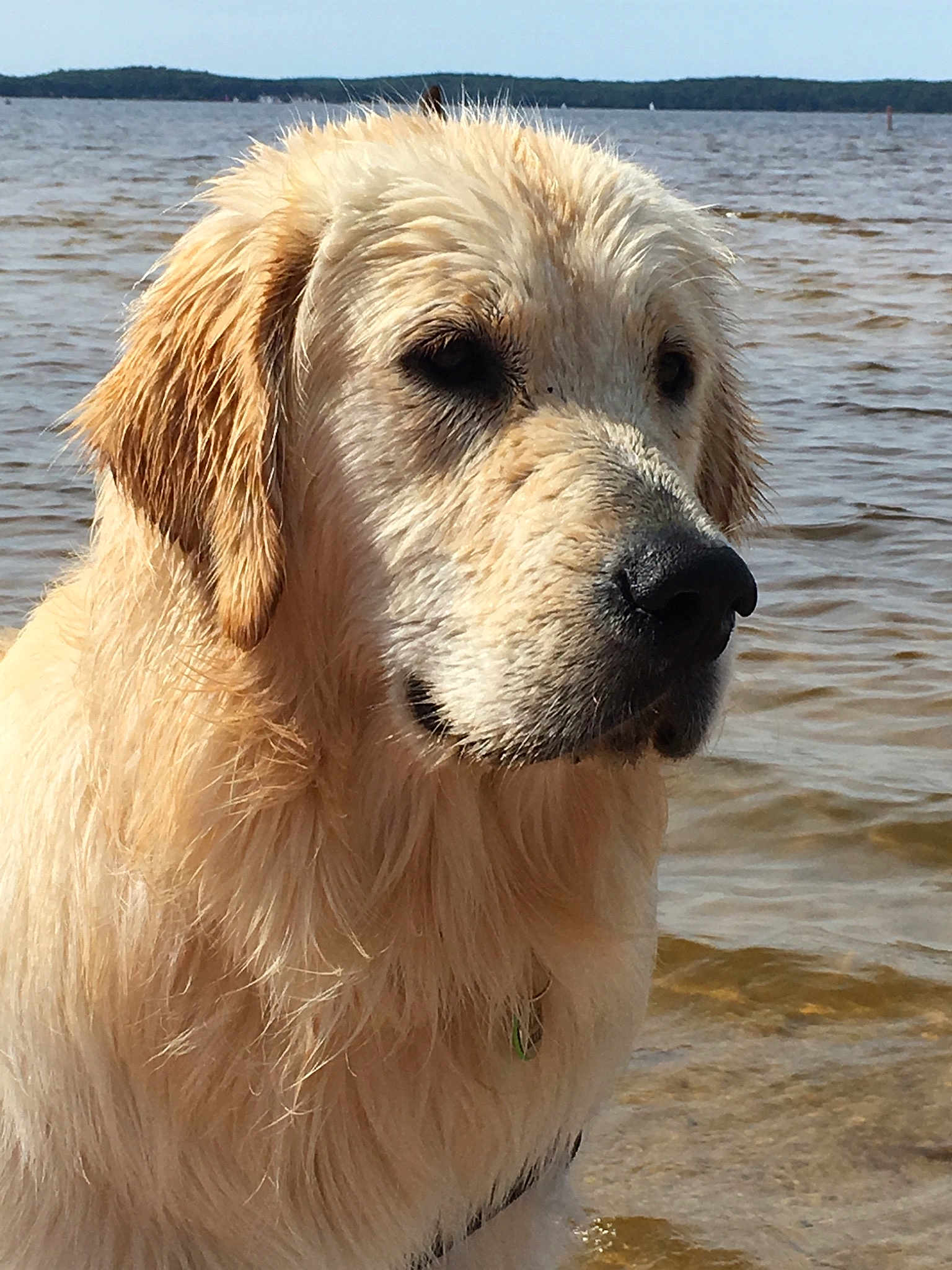 Oscar