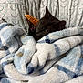 Sage joined the competition — help win amazing prizes! animal, black_cat, blanket, cat, comfort, cozy, cute, feline, fur, home, indoor, orange_toy, patterned_background, pet, relaxed, resting, sleepy, snuggled, soft_texture, toy