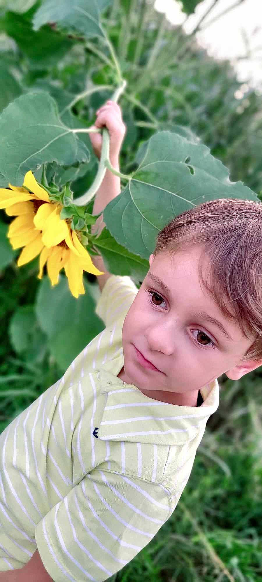 Evan joined the competition — help win amazing prizes! annual_plant, botany, child, flower, flowering_plant, grass, green, happy, leaf, people_in_nature, person, petal, photograph, plant, plant_stem, portrait_photography, smile, sunflower, toddler, tree