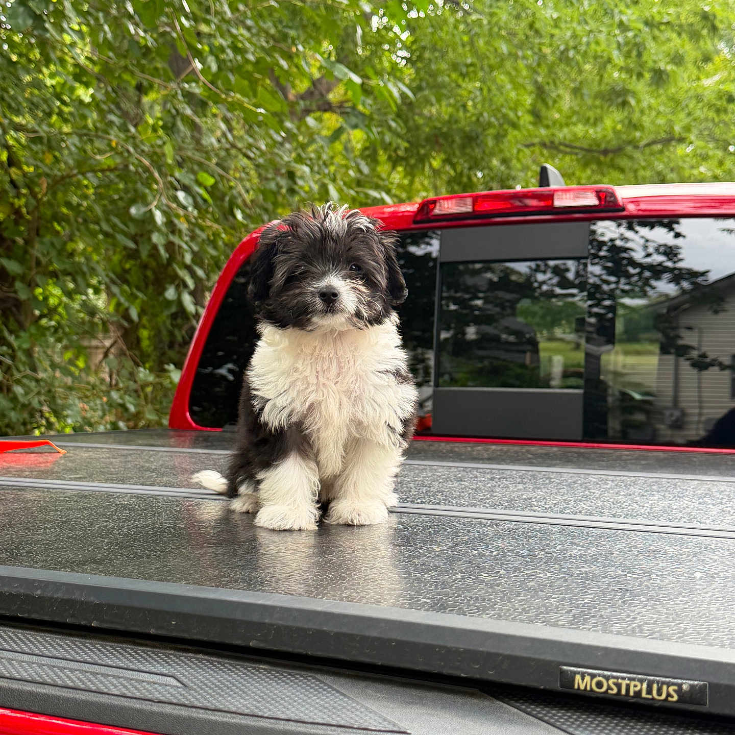 Coco