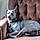 Arlo