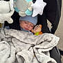 baby, blanket, blue_hat, car_seat, child, cozy, face, infant, monkey_toy, plush_toy, sleeping, soft_toy, stroller, toy, young_child, wrapped, outdoor, comfort, nap, cute