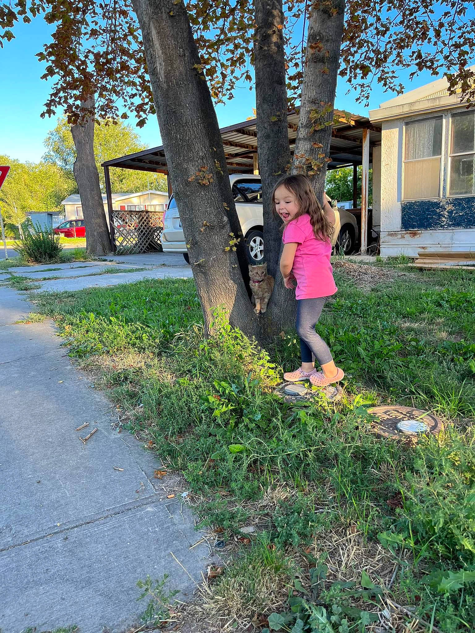 Ellie is registered to the contest to win money with this photo: asphalt, botany, grass, groundcover, house, lawn, leaf, leisure, morning, people_in_nature, person, plant, shrub, sidewalk, sky, sunlight, tints_and_shades, tree, trunk, window