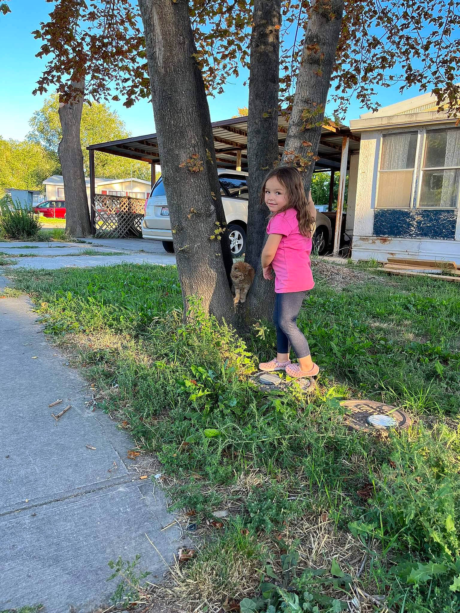 Ellie is registered to the contest to win money with this photo: asphalt, grass, groundcover, house, landscape, leaf, leisure, morning, people_in_nature, person, plant, public_space, shrub, sidewalk, sky, sunlight, tints_and_shades, tree, trunk, window